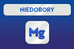 Niedobory